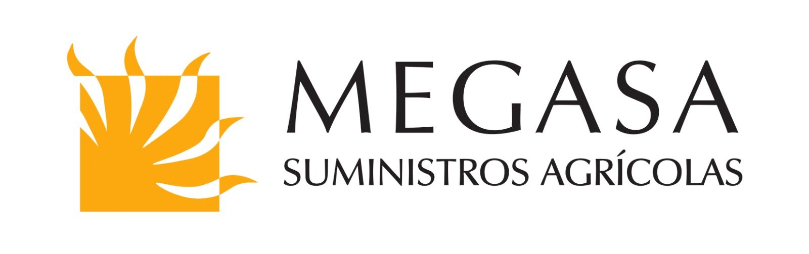Megasa